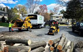 Pest Control for Lawns in Allyn, WA
