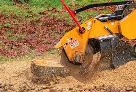 Best Lawn Renovation and Restoration  in Allyn, WA